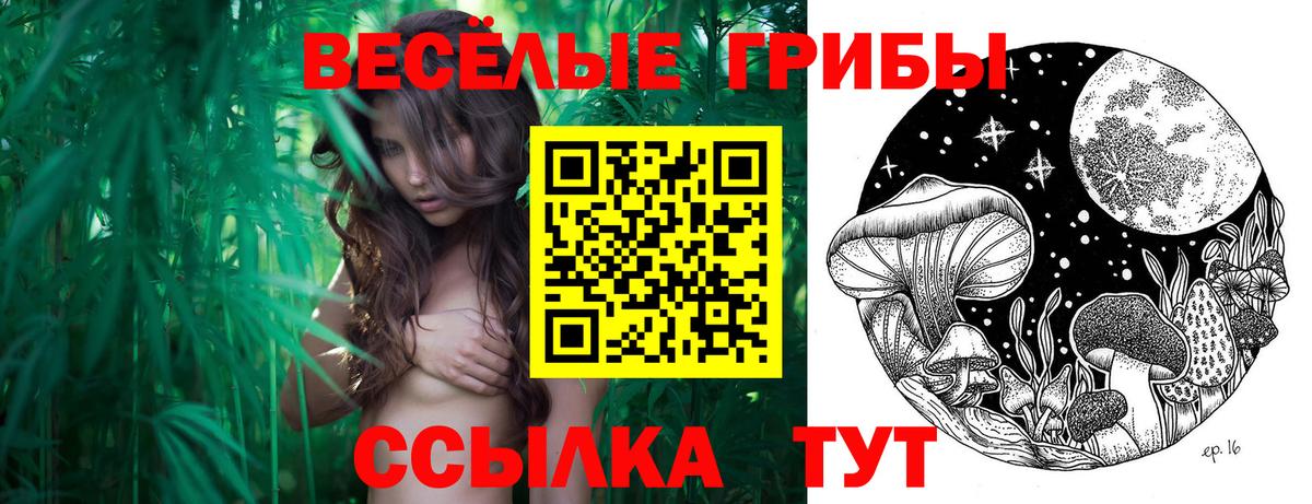 Псилоцибиновые грибы MAGIC MUSHROOMS Воркута
